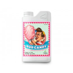 BUD CANDY (desde)