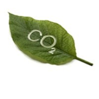 CO2