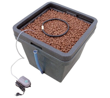 18464 WaterFarm El Cultivar growshop