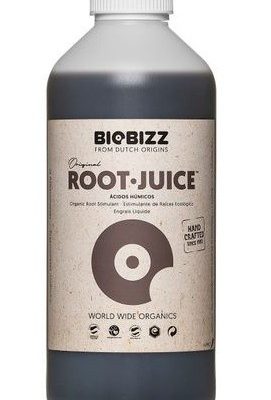 ROOT JUICE