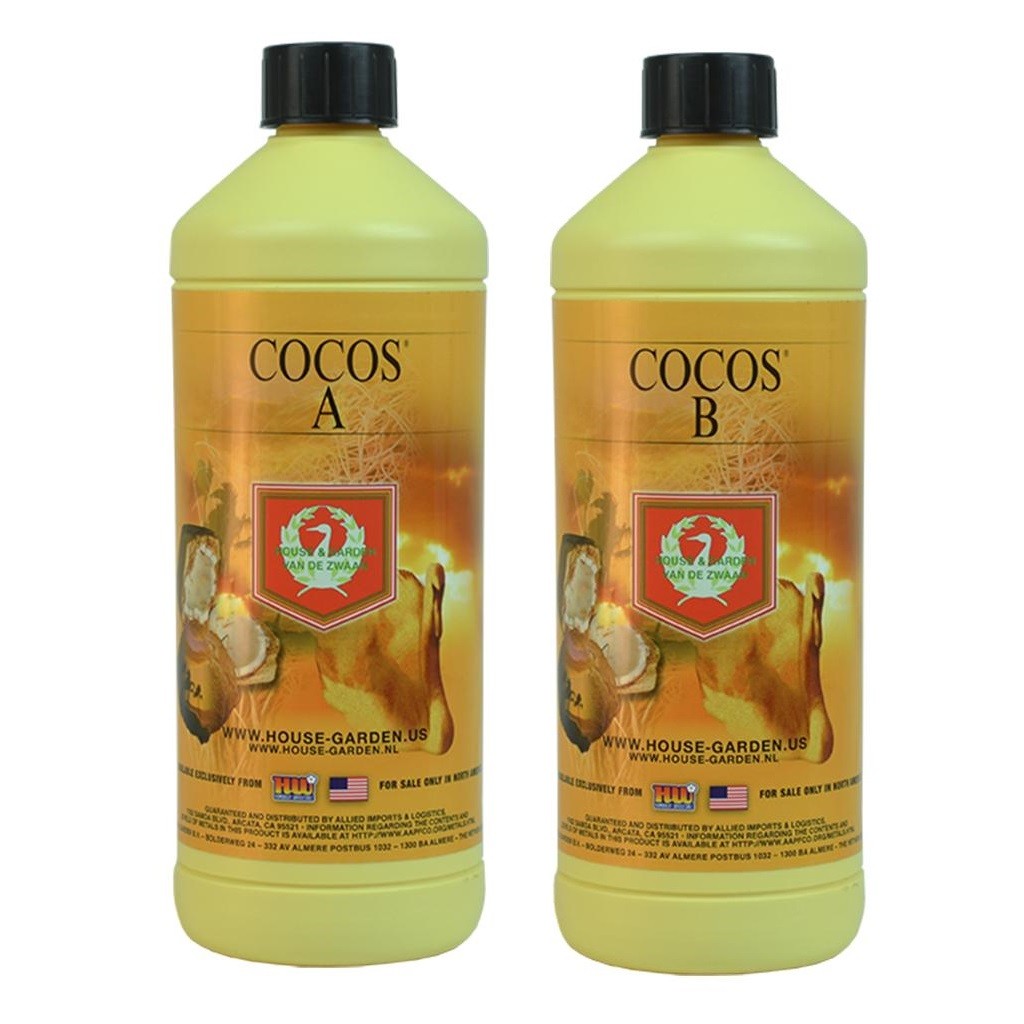 19497 CocosAB HG ElCultivar.jpg