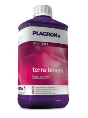 TERRA BLOOM
