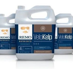 VELOKELP