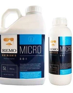 MICRO